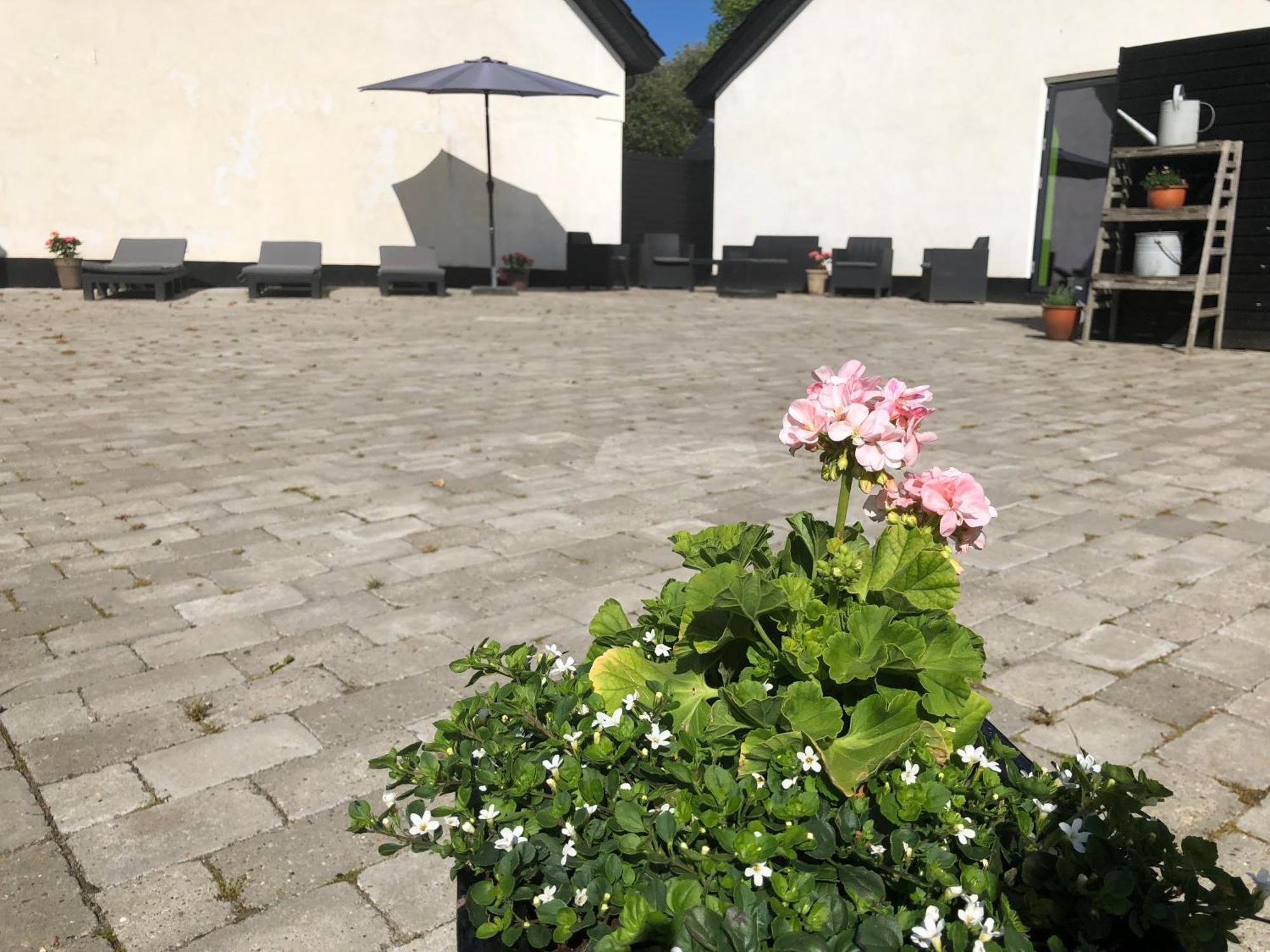 The Barn Guest House Give Luaran gambar